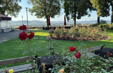 Burg Stettenfels - Foto 17