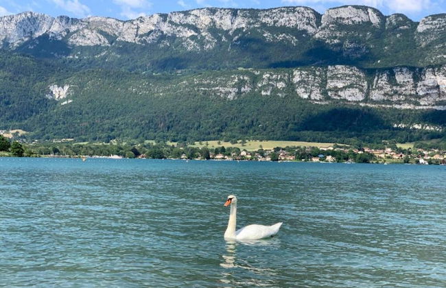 Charming Giez Apartment - Foto 17