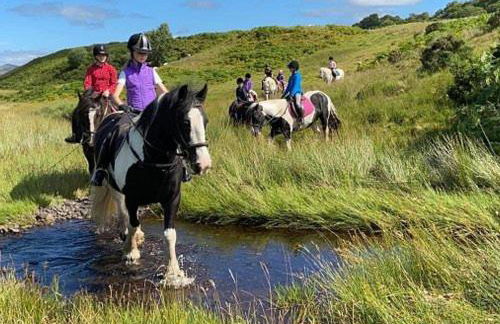 Cedar Lodge - Foto 30