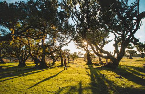 The Jolie - Lava Pools Apartments - Foto 66