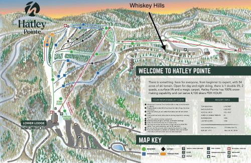 Whiskey Hills - Newly Remodeled Luxury Cabin with Hot Tub, Incredible Views close to Asheville, walk to Hatley Pointe & Ski! - Foto 16