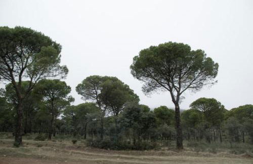 Posada del Herrero - Foto 54