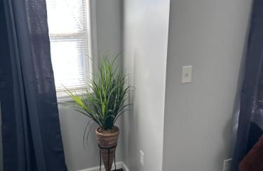 Kickback and relax - Foto 49