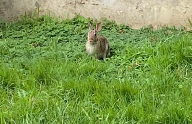 Magie Milano Tortona District-Navigli - Foto 17