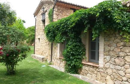 Abejas 1 de El Vergel de Chilla - Foto 43