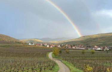 Un petit coin d’Alsace - Foto 26