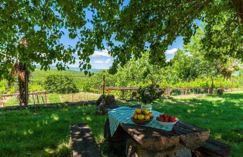 Učka cottage in green Istria - Foto 16