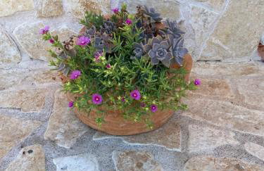 Villa Iris - Foto 12