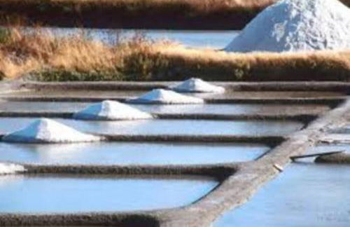 La Marinière, 3chb, à 500m de la mer - St Denis Oléron - Foto 19