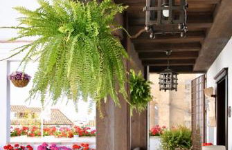 Suites La Posada De Pilar - Foto 31