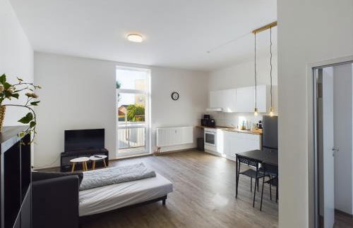 Großzügige Wohnung mit Balkon WE14 - Foto 2