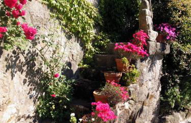 Family Secrets Douro - Foto 50