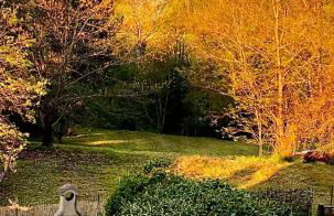 Aquahouse - Villa, romantica mansarda e acquari - Foto 16