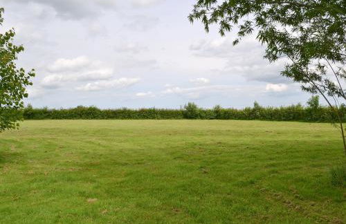 The Willows - Foto 10