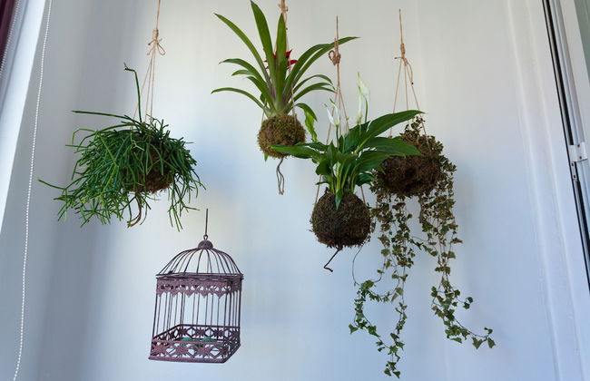 City View - Santo Ildefonso Luxury - Foto 45