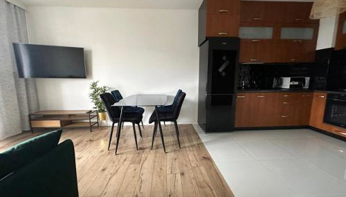 SDH 3 Radzymin comfortable apartment near Warsaw - Foto 5