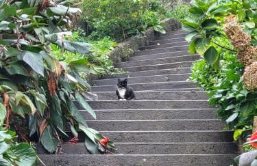 Free Spirit - Photo 23