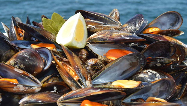 Paseo en barco por la ría + Degustación de mejillones - Foto 3, Degustación de mejillones