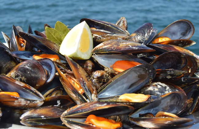 Paseo en barco por la ría + Degustación de mejillones - Foto 3