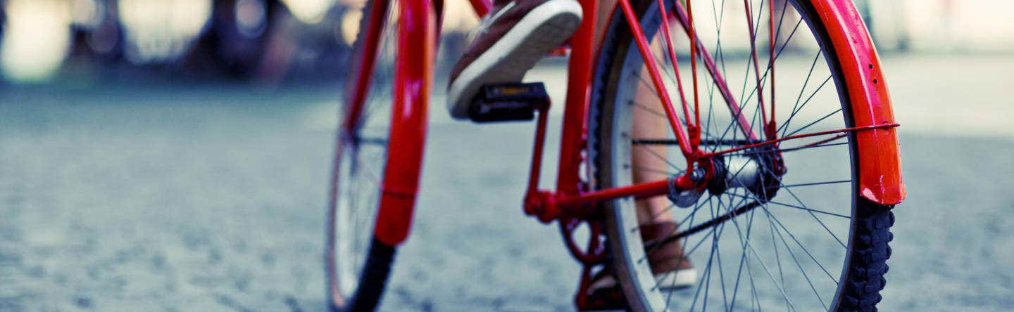 Tour in bicicletta di Montevideo