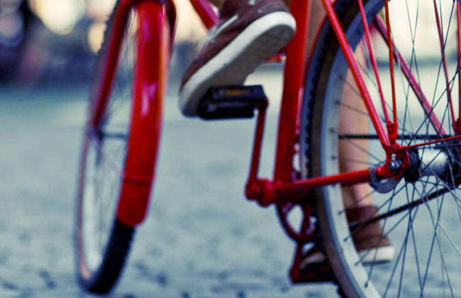 Visite à vélo dans Montevideo - Photo 1