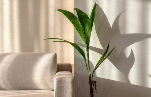 Soleado Villa Chania rooftop heated pool - Foto 65