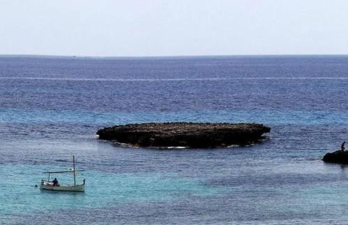 Cas Bufador - Foto 24