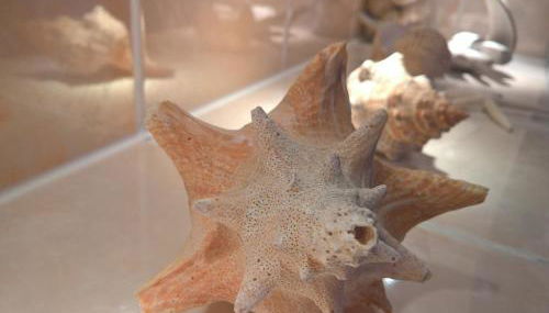 Ferienwohnung Markt 7 - Foto 3, Shower