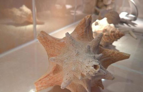 Ferienwohnung Markt 7 - Foto 3