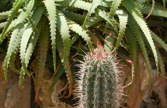 Garden House Xerokampos - Foto 36