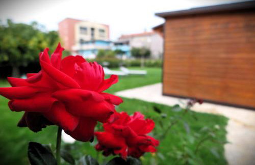 Dependance Con Giardino A Pescara - Foto 3