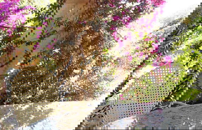 Finca Sa Cova Vella - Photo 20