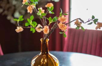 Bilbos Cottage 3 bed 2 and a half bath home in College Hill - Foto 72