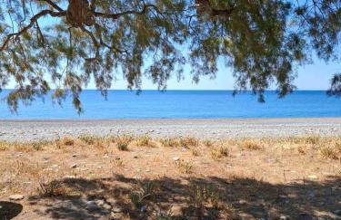 Grammeno Seaside Studios - Photo 69