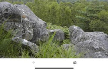 Appart Hôtel 3* dans une résidence de tourisme - Foto 44