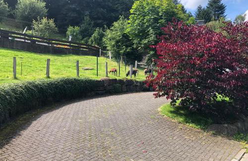 Ferienwohnung am Wald mit Garten & Hot-Tub & Alpakas - Foto 6