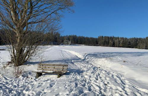 Ferienwohnung am Goldberg mit überdachter Loggia - Foto 15