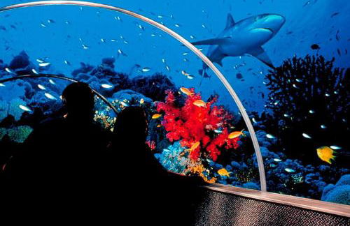 LOOKOUT by BOURNECOAST - A Stylish Flat with a Balcony, SEA GLIMPSES and Parking- Just a 10 Minute Walk to the Sandy Beaches - FM8405 - Photo 42