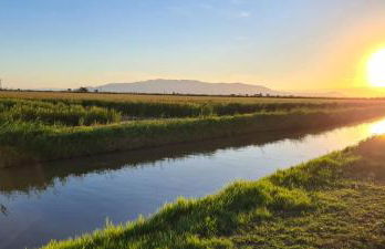 Lo de Joel - Foto 21