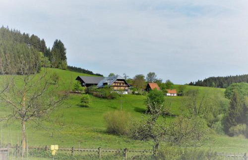 Sigmundenhof Schonach - Foto 55