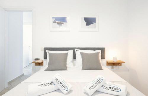 Cove Suites Apartment - Photo 9