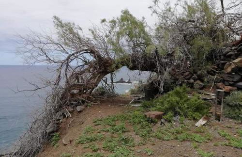Casa rural Los Órganos de Arguamul - Foto 10