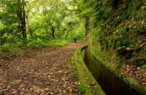 OurMadeira - Chalet Prazeres - Foto 23