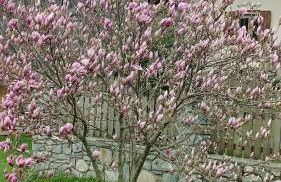 Casa Lazer - Foto 13