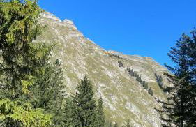 Landhaus Eibelesee - Foto 49