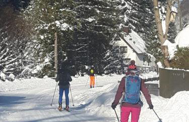 Villa Eva & Lilou Pod Rysianką - Foto 42