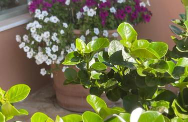 POLE POLE beautiful villa in Mati - Foto 45