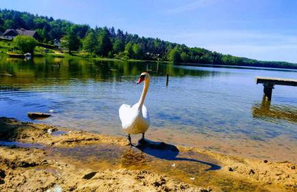 Domek Uroczy Golubie ,niedaleko stoku Koszałkowo ,balia,sauna,kominek,ognisko - Foto 16