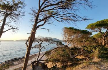 Casada's House - Photo 47