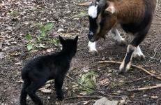 Casa rural en plena naturaleza Lic UVTR1524 - Photo 45